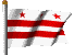 flag washington dc.gif